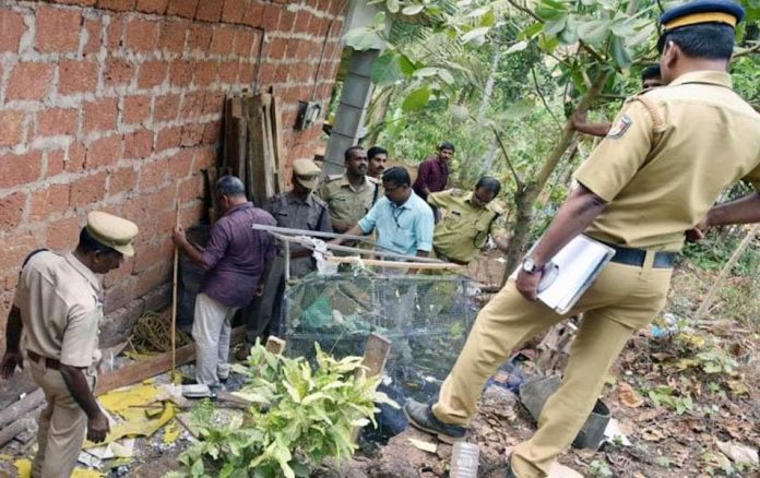 आरएसएस (RSS) तालुका कार्यवाहक के घर पर देसी बम फटा, दो बच्चे घायल-two-children-injured-in-crude-bomb-explosion-at-rss-worker-house-in-kerala-IndiNews