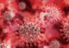 uk-mutant-coronavirus-strain-found-in-india